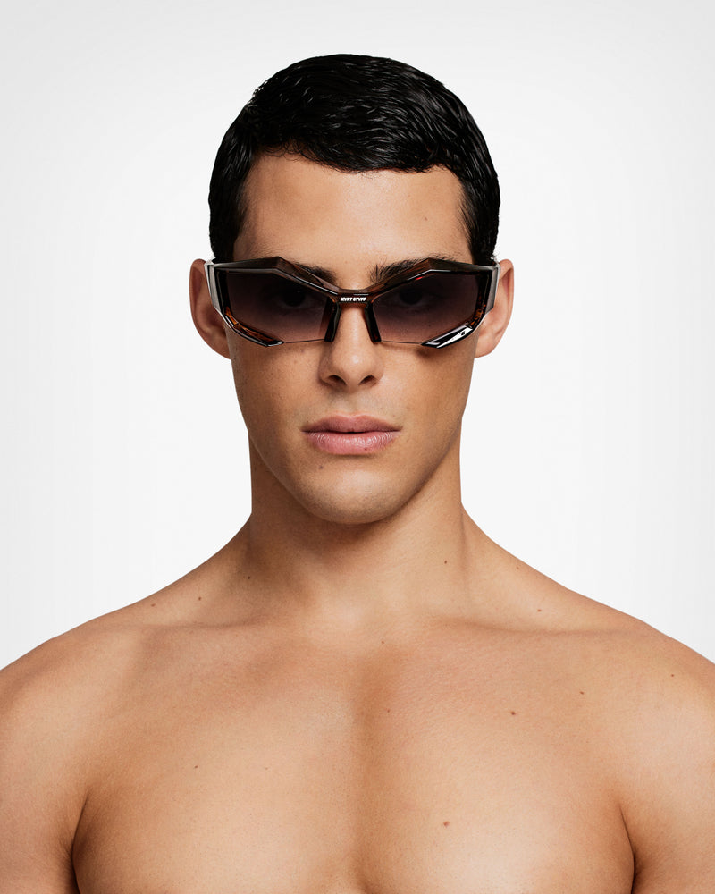 Tortoiseshell Echo Sunglasses