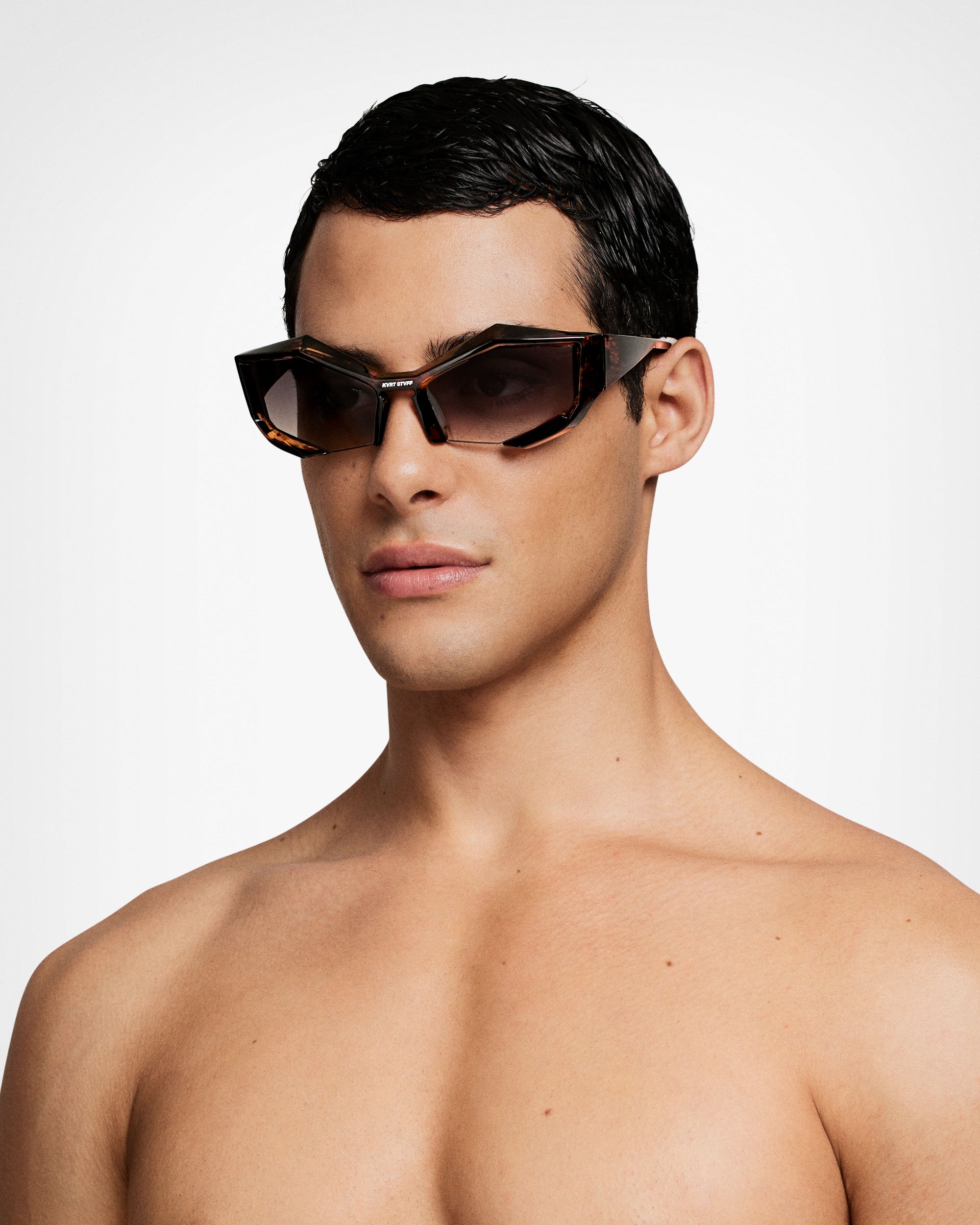 Tortoiseshell Echo Sunglasses